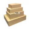 caja auto premiun vista3